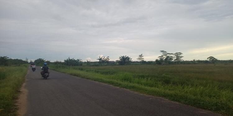 FOTO: DOK. ALDI SETIAWAN/MATA KALTENG: Lahan pertanian masyarakat yang ada di lingkar kota, Kecamatan Seruyan Hilir.
