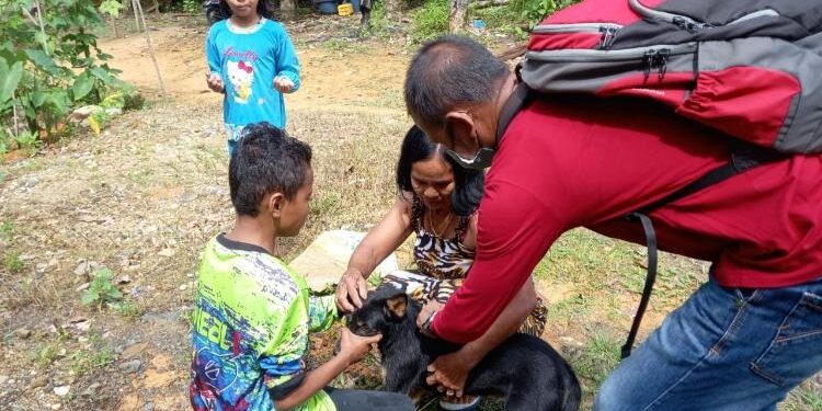 FOTO : IST/MATA KALTENG - Petugas Dinas Pertanian ketika menyuntikkan vaksin rabies kepada hewan peliharaan warga di Desa Batu Nyapau dan Kelurahan Tewah, Kecamatan Tewah, Senin, 4 Maret 2022.