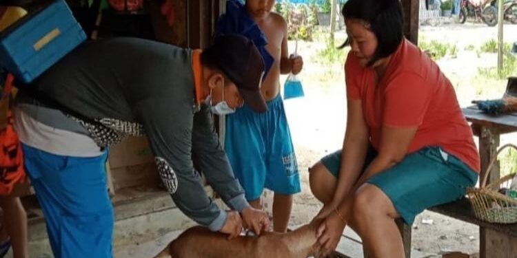 FOTO : IST/MATA KALTENG - Tim dari Dinas Pertanian ketika melakukan penyuntikan vaksin rabies pada hewan anjing di sejumlah desa kelurahan, belum lama ini.