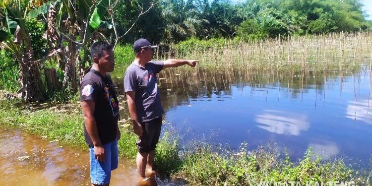 FOTO : DEVIANA/MATAKALTENG - Kepala Desa Sumber Makmur Supriyo bersama Wakil Ketua DPRD Kotim Rudianur saat meninjau lahan yang terendam air, Sabtu 28 Mei 2022.
