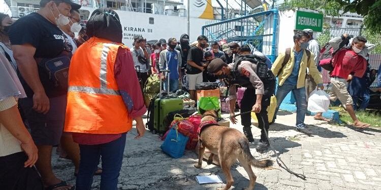 FOTO : DEVIANA/MATAKALTENG - Petugas kepolisian dan anjing pelacaknya saat menyisir barang bawaan penumpang kapal yang baru datang di Pelabuhan Samput, Jumat 6 Mei 2022.