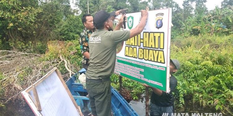 FOTO : IST/MATA KALTENG - Pemasangan spanduk peringatan ada buaya di Mentaya Hilir Utara, Kotim.