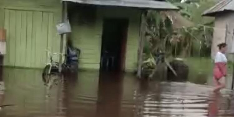 FOTO: IST/MATA KALTENG - Kondisi banjir di Desa Sumber Makmur, Kecamatan Mentaya Hilir Utara, Kotim.