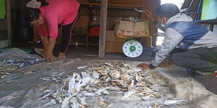 FOTO: ALDI SETIAWAN/MATA KALTENG: Pengepul ikan asin yang ada di Desa Sungai Undang, Kecamatan Seruyan Hilir.