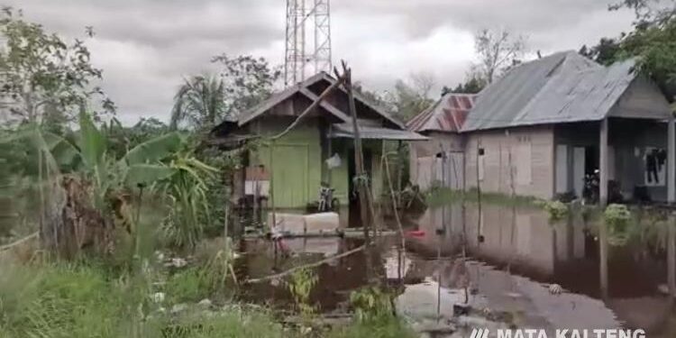 FOTO : IST/MATA KALTENG - Banjir yang terjadi di wilayah Mentaya Hilir Utara.