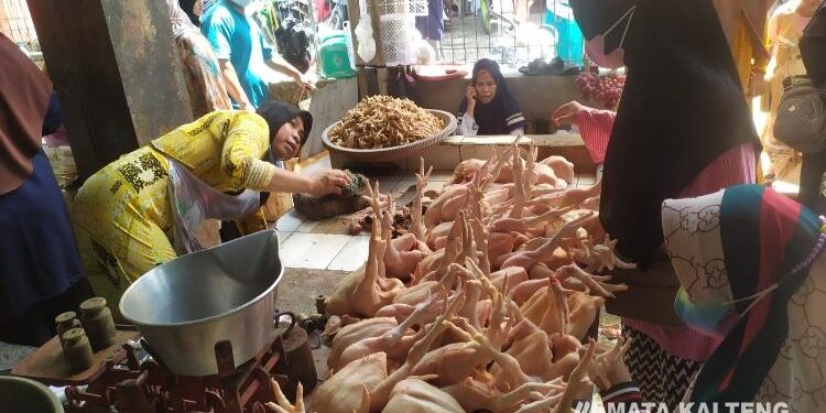 FOTO : DEVIANA/MATAKALTENG - Interaksi jual beli di pasar ikan PPM Sampit, Rabu 8 Juni 2022.