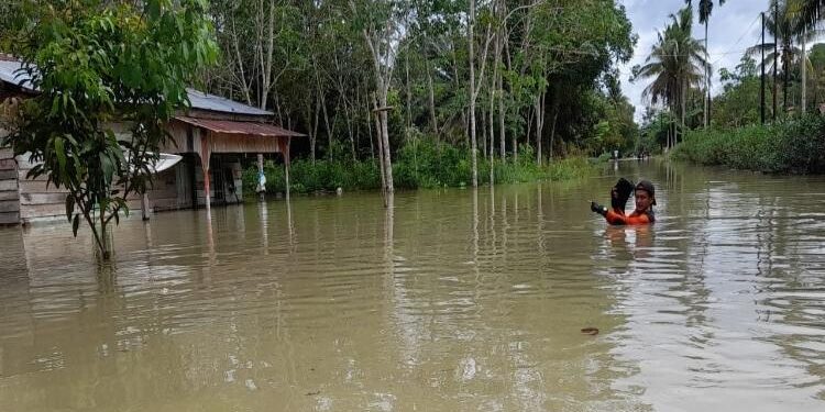 FOTO : GA/MATAKALTENG -
Kondisi banjir di Desa Sungai Hijau, Kecamatan Pangkalan Banteng, Kabupaten Kotawaringin Barat, Kamis, 30 juni 2022