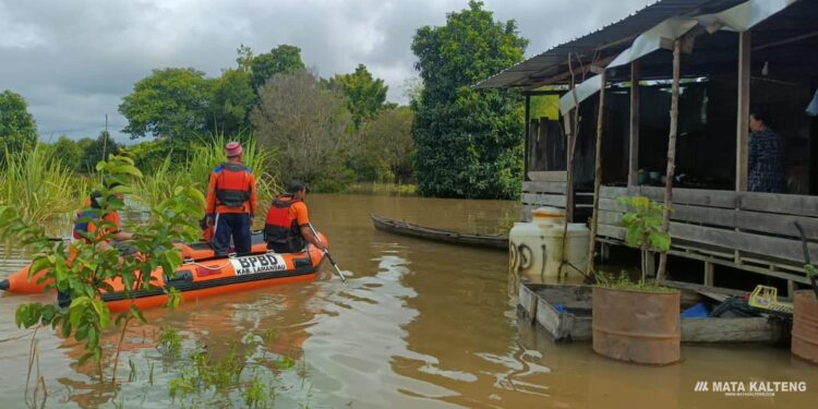FOTO : BPBD Lamandau/MATAKALTENG - Petugas BPBD sedang melaksanakan evakuasi warga terdampak banjir.