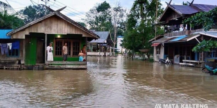 FOTO : Humas Desa Tumbang Mujam/MATAKALTENG - Ketinggian air di Desa Tumbang Mujam, Kecamatan Teluk Tualan Hulu, Kotawaringin Timur, sudah merendam jalan. 