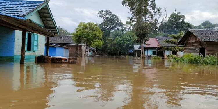 FOTO : BPBD Lamandau/MATAKALTENG - Ratusan rumah warga di Lamandau terendam banjir, Rabu 14 September 2022.
