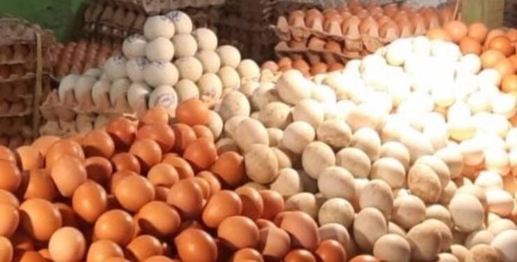 FOTO : OLIVIA/MATAKALTENG - Telur ayam yang dijual di pasar di Kota Palangka Raya