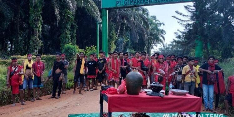 FOTO: IST/MATAKALTENG -
Kelompok masyarakat Borneo Sarang Paruya (BSP) saat berada diarea lokasi perusahaan dan melakukan penutupan akses pintu masuk di PT Gemariksa Mekarsari, 3 November 2022 lalu.