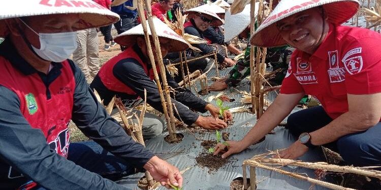FOTO : AKH/MATAKALTENG  - Bupati Sukamara Windu Subagio saat menanam cabai bersama Kakanwil Kemenkumham Kalteng.