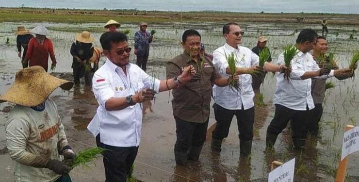 FOTO : IST/MATAKALTENG - Mentan Syahrul Yasin Limpo bersama Wagub Kalteng H. Edy Pratowo menanam padi Varietas Inpari 32.