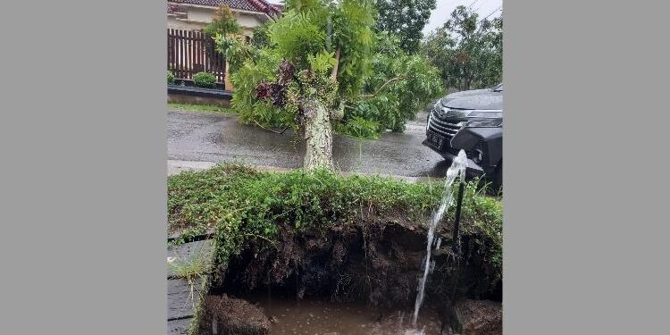 FOTO: IST/MATA KALTENG - Terlihat pohon tumbang akibat hujan lebat dan disertai angin kencang di wilayah Kota Sampit, Jumat 18 November 2022.