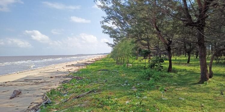 FOTO: DOK. ALDI/MATA KALTENG - Penampakan objek wisata pesisir yang ada di Desa Sungai Bakau, Kecamatan Seruyan Hilir Timur.
