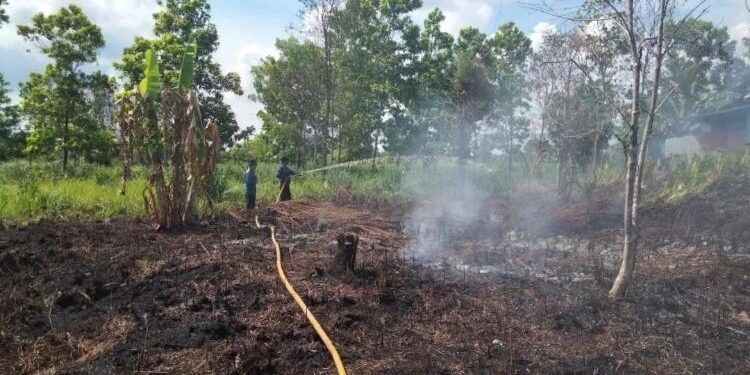 FOTO : IST/MATAKALTENG - Petugas Disdamkarmat Kotim memadamkan api di sebuah lahan di Jalan Pramuka Sampit.