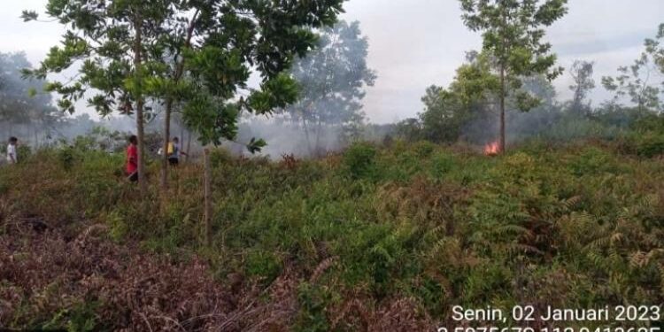 FOTO: IST/MATA KALTENG - Lokasi karhutla yang ada di Kelurahan Baamang Barat, Senin 2 Januari 2023.