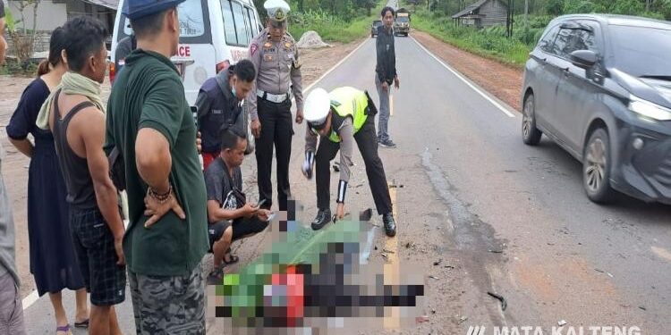 FOTO : POLISI/MATA KALTENG - Pihak Satlantas Polres Kotim dan petugas PMI Kotim sedang mengecek kondisi korban, Senin, 9 Januari 2023.