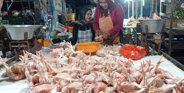 FOTO : DEVIANA/MATAKALTENG - Fitri pedagang daging ayam potong di pasar subuh, Sampit sedang menjajakan dagangannya, Jumat 13 Januari 2023.