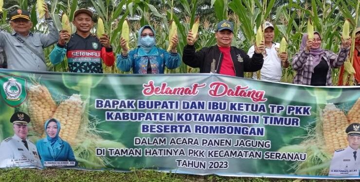 FOTO : DEVIANA/MATAKALTENG - Bupati Kotim Halikinnor dan Wakilnya Irawati serta pejabat lainnya saat memanen jagung di Kecamatan Seranau, Jumat 13 Januari 2023.