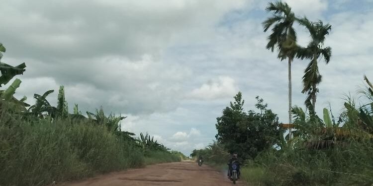 FOTO : AKH/MATAKALTENG - Kondisi jalan menuju Kecamatan Jelai