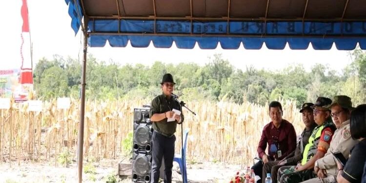 FOTO : SID/MATA KALTENG - Kepala Dinas Pertanian Kabupaten Gumas, Letus Guntur (berdiri) memberi arahan kepada poktan Katur 1, Desa Sepang Kota, Kecamatan Sepang, Kamis, 19 Januari 2023.