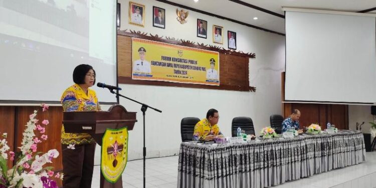 FOTO : SID/MATA KALTENG -Wakil Bupati Gumas Efrensia LP Umbing ketika memberi arahan dalam kegiatan forum konsultasi publik dalam rangka penyempurnaan rancangan awal RKPD tahun 2024, di aula kantor bappedalitbang, Kamis, 26 Januari 2023.