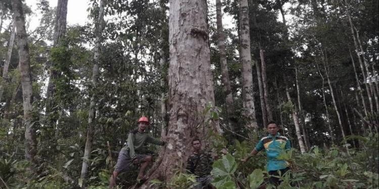 FOTO : Warga/MATA KALTENG - Kawasan hutan di Desa Tumbang Ramei, Kecamatan Antang Kalang, Kotim.