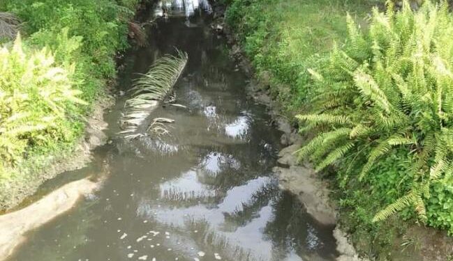 FOTO : Warga/MATA KALTENG - Aliran anak sungai yang diduga tercemar akibat limbah dari pabrik Wilmar.