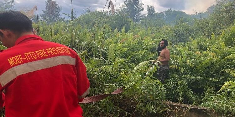 FOTO : DOKUMENTASI MATA KALTENG - Kawasan hutan yang terbakar di Kota Sampit.