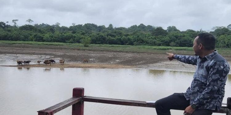 FOTO : Setwan/MATA KALTENG - Sekretaris Komisi II DPRD Kotim, Syahbana saat melihat peternakan milik warga.