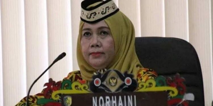 Anggota Komisi C DPRD Kota Palangka Raya Norhaini.
