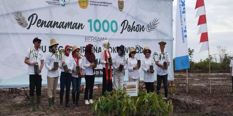 Dewan Dorong Pemda Kembangkan Pariwisata  Palangka Raya - Sektor pariwisata menjadi salah satu sumber pendapatan asli daerah (PAD), maka dari itu kalangan legislator DPRD Provinsi Kalimantan Tengah mendorong pemerintah setempat untuk terus menggali dan memaksimalkan pengembangannya PAD agar terus meningkat dari tahun ke tahun.  Hal ini disampaikan oleh Wakil Ketua Komisi III DPRD Kalteng, Siswandi yang menyebutkan Kalteng memiliki banyak potensi wisata yang dapat dikembangkan.  "Potensi pariwisata di Kalteng ini terutama wisata alam masih banyak yang belum tergali dengan maksimal. Saya yakin apabila itu bisa dimaksimalkan maka akan meberikan dampak terhadap PAD provinsi maupun kabupaten dan kota," ujarnya, Rabu (1/2).   Hanya saja Siswandi mengungkapkan, pengembangan sektor wisata di Kalteng masih belum optimal. Padahal berkaca dari provinsi lain sektor pariwisata yang ada dapat menopang pendapatan daerahnya.  "Provinsi lain itu contohnya seperti Bali mereka maksimal dalam mengembangkan pariwisatanya jadi bisa menopang PAD, tidak hanya itu lapangan pekerjaan atau usahapun terbuka dengan adanya wisata ini," ungkapnya.   Dalam mengembangkan sektor pariwisata juga perlu dibarengi dengan pembangunan infrastruktur yang memadai untuk akses, sehingga minat wisatawan berkunjung semakin tinggi.  "Kita melihat masih banyak infrastruktur menuju objek wisata yang belum memadai, ini juga perlu diperhatikan. Percuma kita memiliki ojek wisata bagus tapi infrastrukturnya belum memadai. Tentu itu akan mengurangi minat wisatawan untuk berkunjung," pungkasnya.  Foto: Wakil Ketua Komisi III DPRD Kalteng, Siswandi 