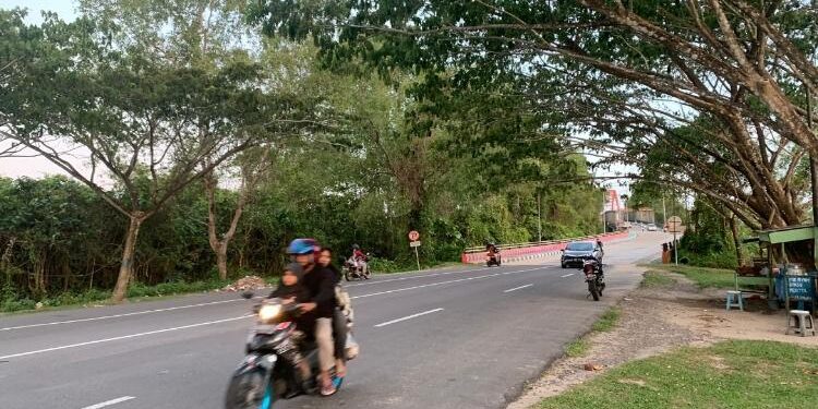 FOTO: ALDI SETIAWAN/MATA KALTENG - Kawasan sekitaran bawah Jembatan Ir Soekarno Kuala Pembuang yang dulu hendak diproyeksikan sebagai taman kota.