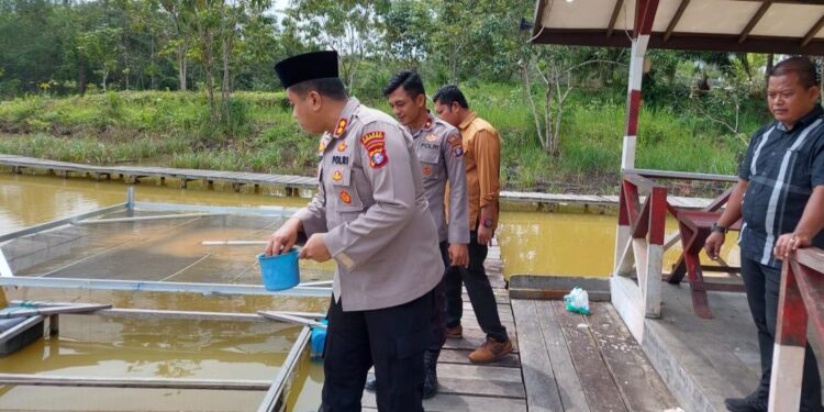 FOTO : HUMAS POLRES GUMAS/MATA KALTENG - Kapolres Gumas AKBP Asep Bangbang Saputra, bersama Kabag Ops Kompol Tri Wibowo, Kasat Intelkam Iptu Jadiman, Kasat Narkoba Iptu Budi Utomo, dan Kasi Propam Ipda Muklisin, mengecek kolam budidaya ikan, Kamis, 23 Februari 2023.