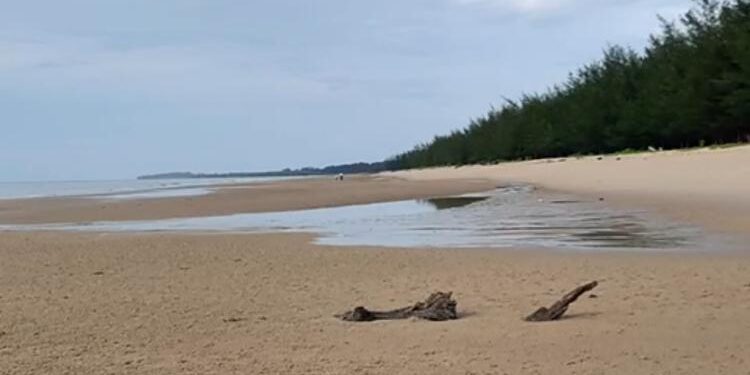 FOTO: ALDI/MATA KALTENG - Objek wisata Pantai Seribu Cemara yang ada di kawasan Desa Sungai Bakau, Kecamatan Seruyan Hilir Timur.