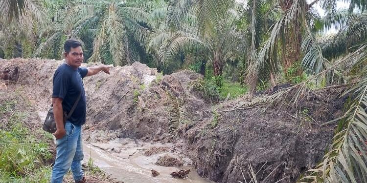 FOTO: ISTIMEWA/MATAKALTENG - Salah seorang petugas keamanan kebun di Desa Pelantaran, Mang Ebok, pada saat menunjukkan lokasi dugaan aksi pencurian.