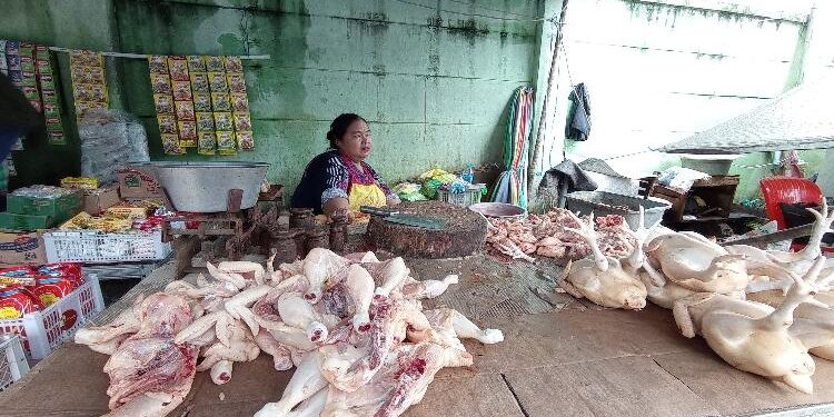 FOTO: RIZAL/MATAKALTENG - Salah seorang pedagang ayam potong di Pasar Besar Kota Palangka Raya.