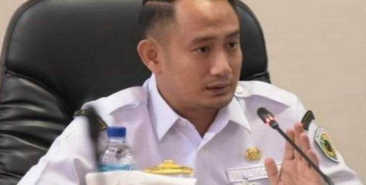 Wali Kota Palangka Raya, Fairid Naparin