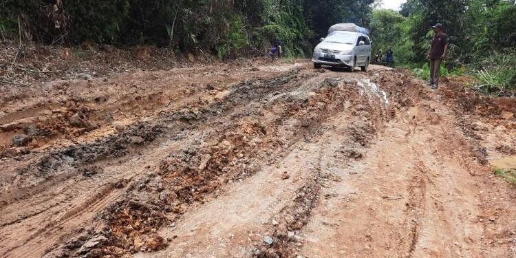 FOTO : SID/MATA KALTENG -  Kondisi ruas jalan kabupaten, tepatnya di Desa Tanjung Untung, Kecamatan Tewah yang mengalami kerusakan parah, belum lama ini.