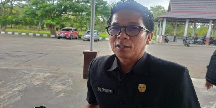 Anggota DPRD Seruyan, Rudi Hartono.
