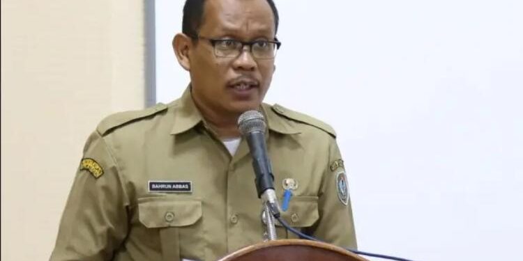Kepala Dinkes Seruyan, Bahrun Abbas.