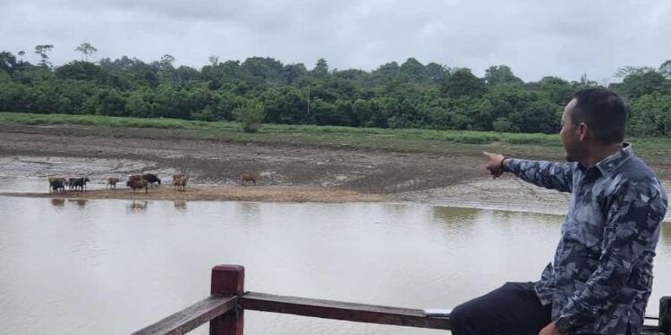 FOTO : Ketua Fraksi Nasdem DPRD Kotim, Syahbana saat melihat kondisi lahan pertanian dan tempat peternakan.