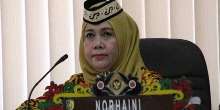 Anggota Komisi C DPRD Palangka Raya, Norhaini.