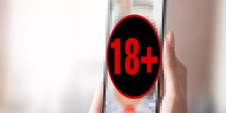 FOTO: ISTIMEWA/MATAKALTENG - Ilustrasi videocall mesum atau VCS.