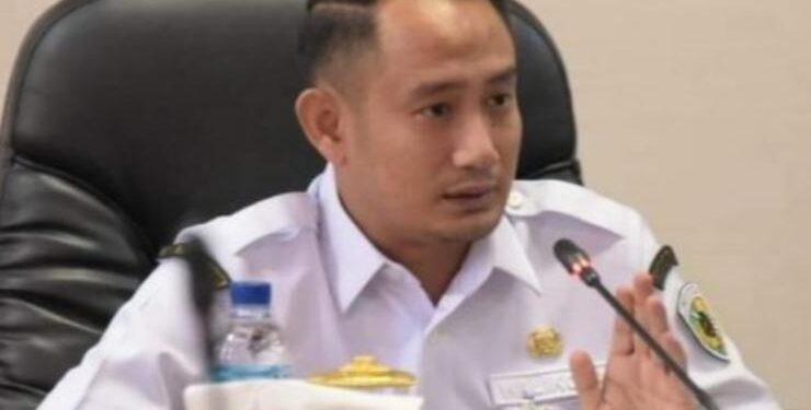 Wali Kota Palangka Raya, Fairid Naparin