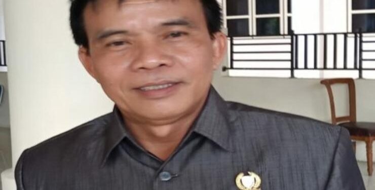 Ketua Komisi III DPRD Barito Selatan (Barsel) Hermanes