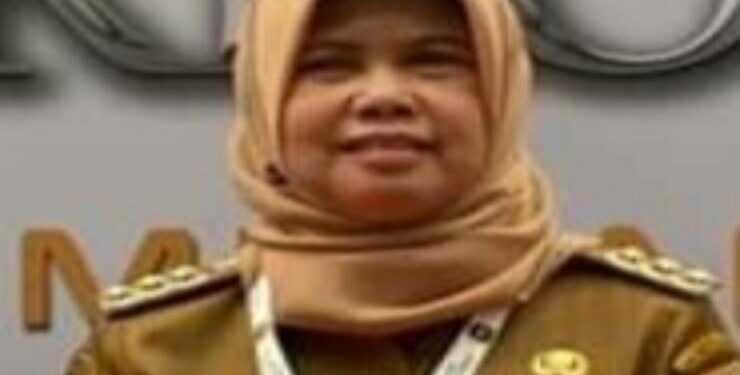 Pj Bupati Barsel, Lisda Arriyana