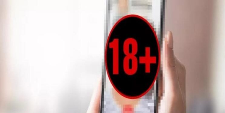 FOTO: ILUSTRASI/MATAKALTENG - Ilustrasi aktivitas Videocall mesum atau VCS.